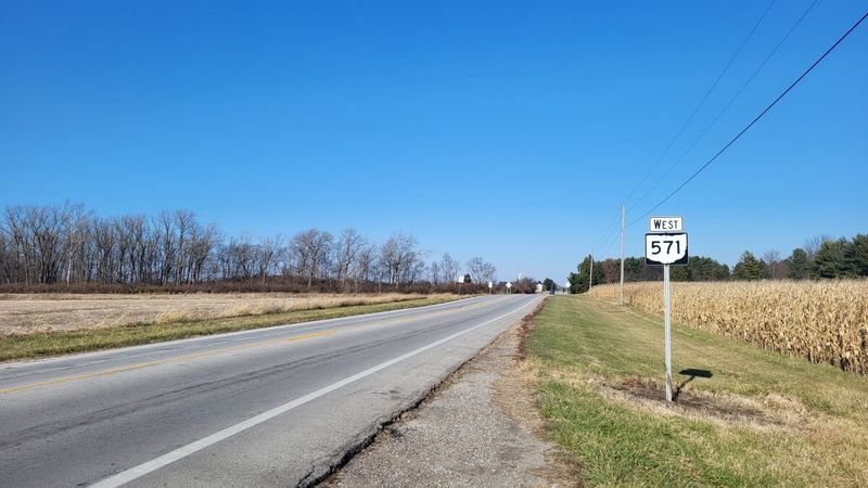 Ohio's Buckeye Brilliance