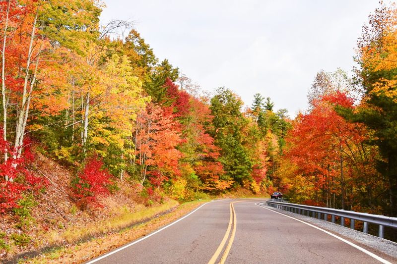 Tennessee's Volunteer Vigilance