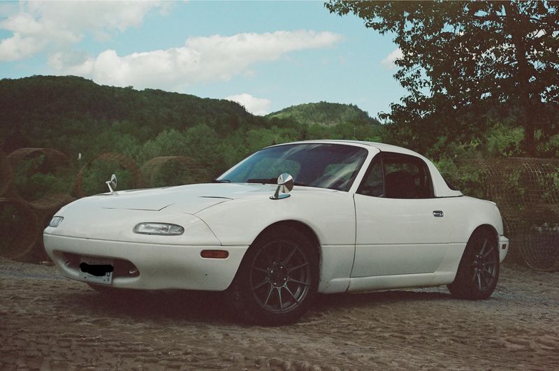 Fender-Mounted Mirrors