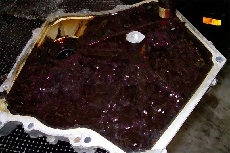 Oil Gel Formation