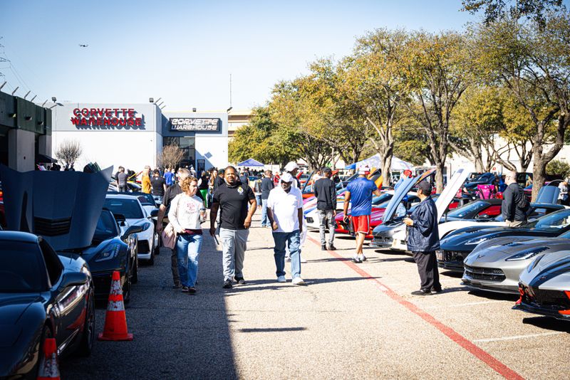 Corvette's Cult Following