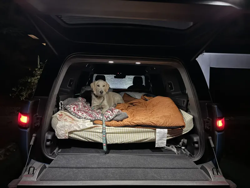 Pet-Friendly Features