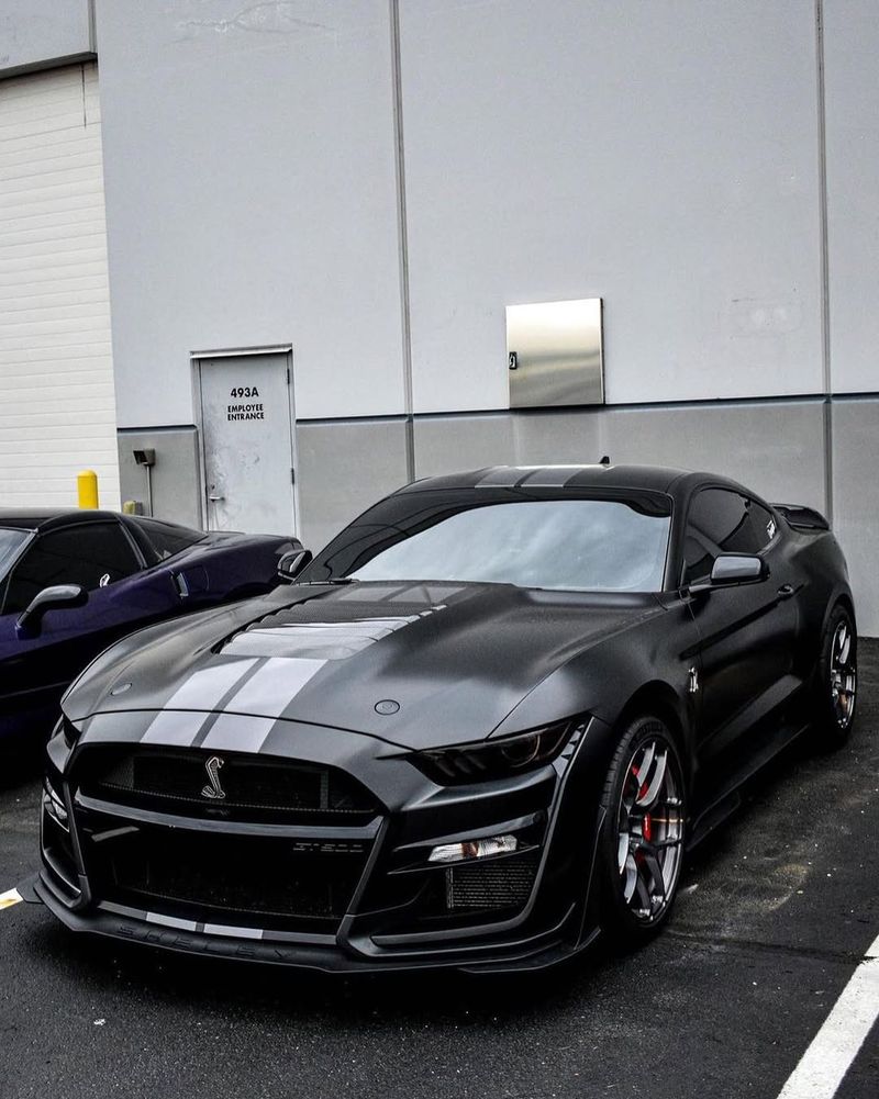 Ford Shelby GT500