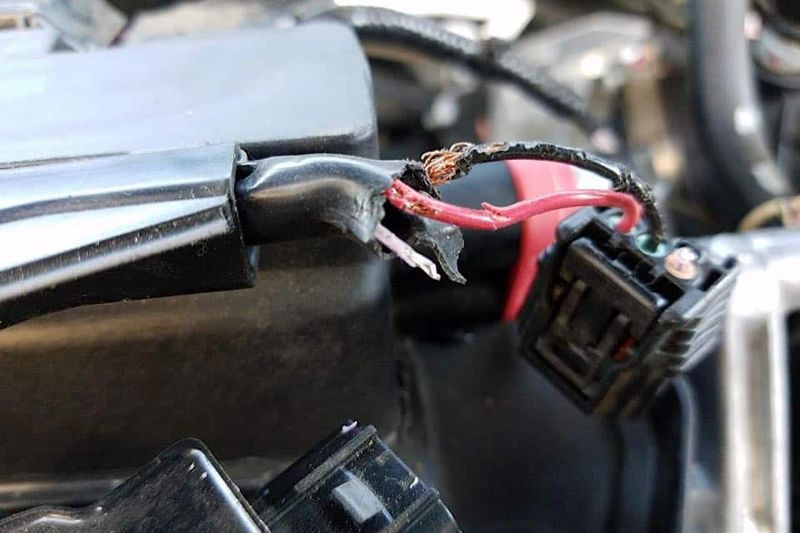 Soy-Based Wiring